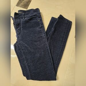 Ann Taylor Velvet Skinny Pant